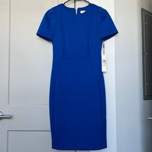 Calvin Klein Dress